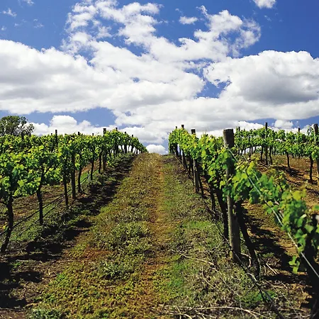 Otel Ibis Budget Marmande