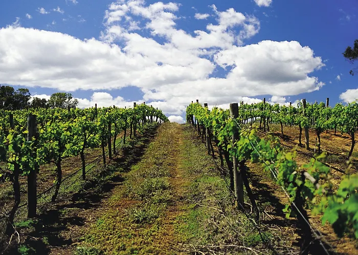 מלון Ibis Budget מרמנדה